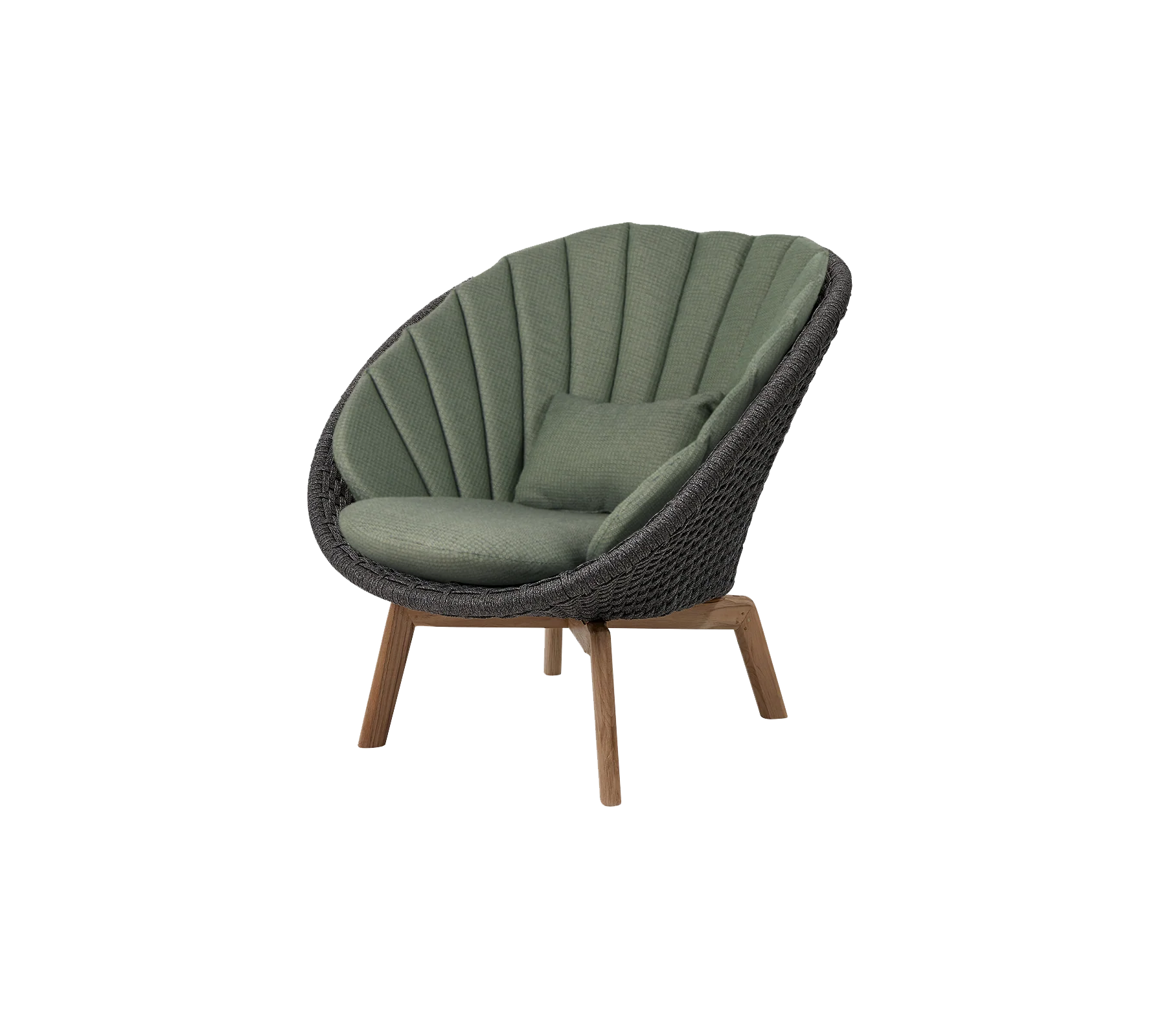 Peacock lounge chair - Image 12