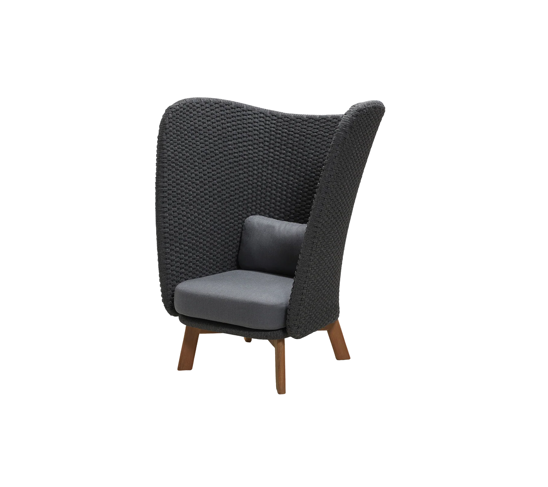 Peacock Wing highback chair - Image 6