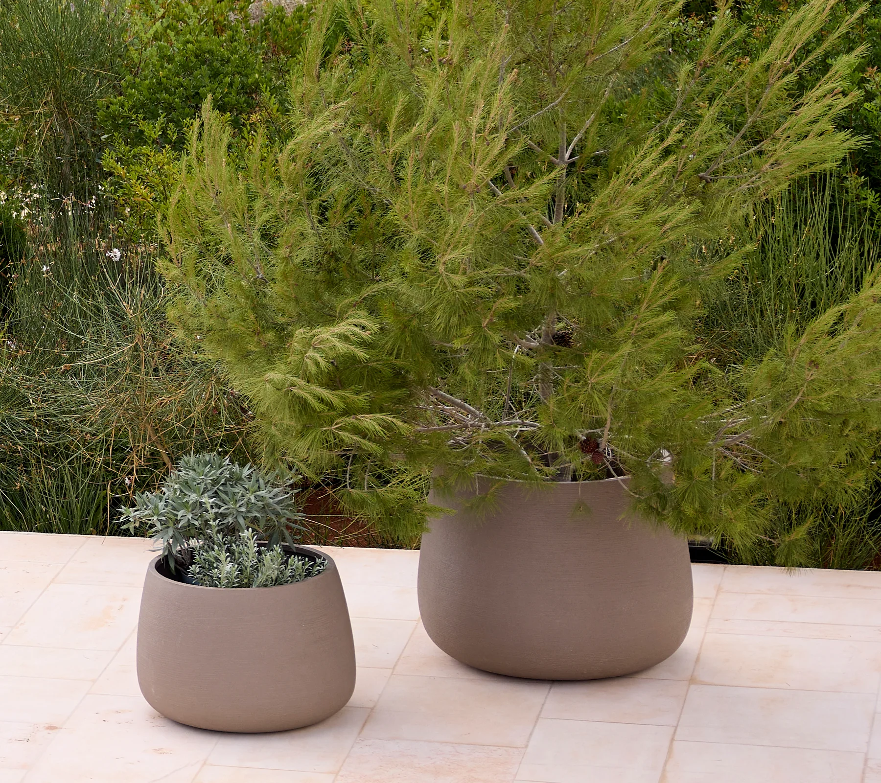 Soil planter round, medium - Image 3